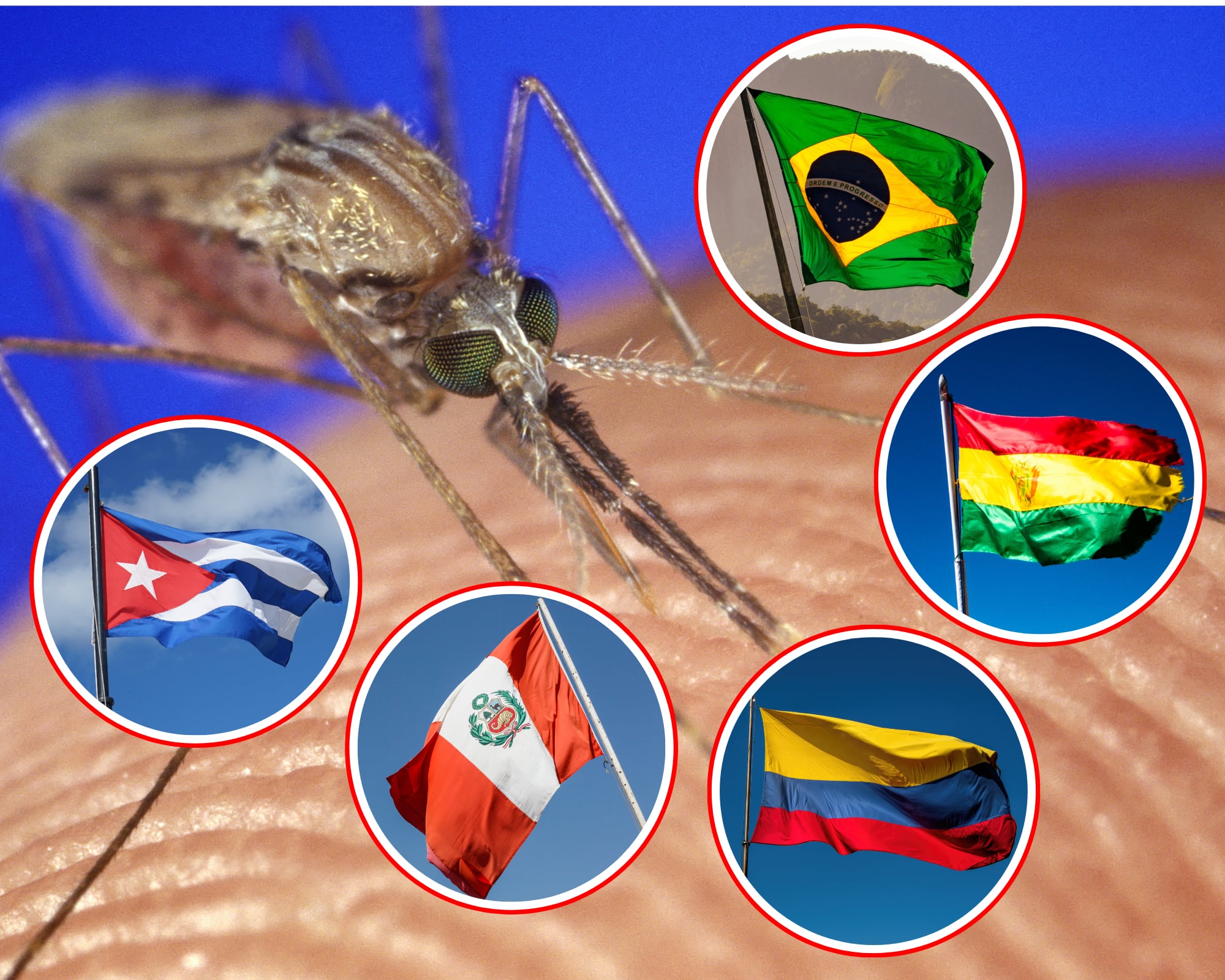La Organización Panamericana de la Salud informó haber detectado brotes de la enfermedad transmitida por mosquitos en Brasil, Bolivia, Cuba, Perú y Colombia.
(Foto: Getty / Caracol Radio )