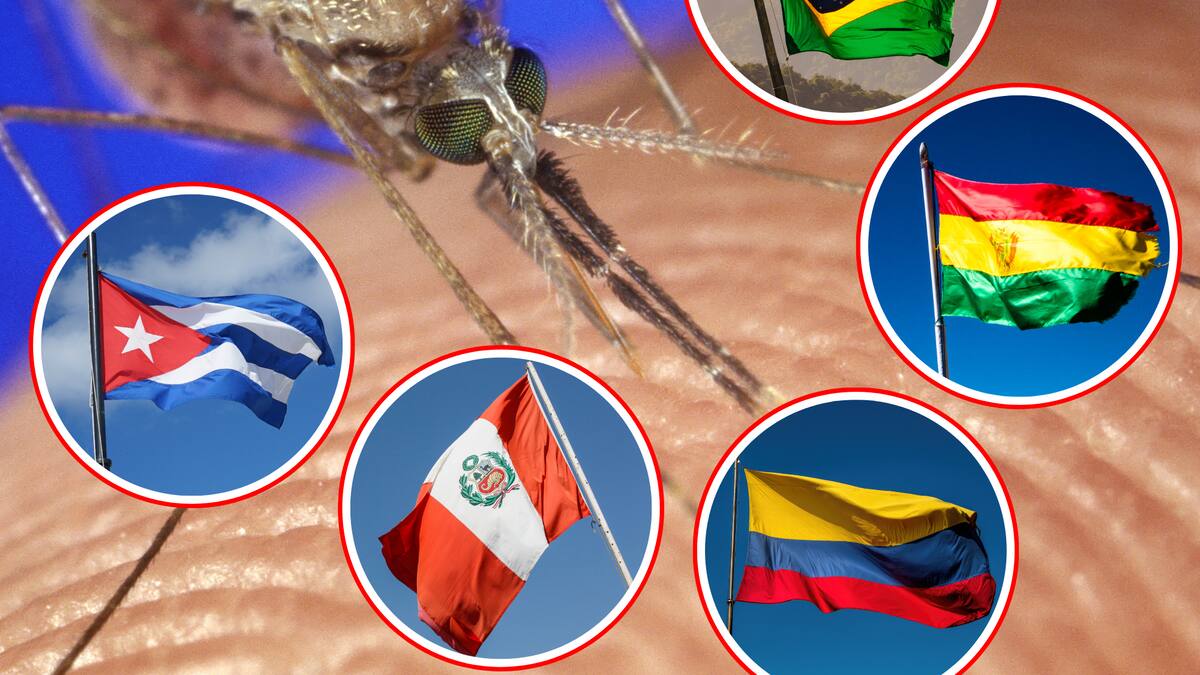 Oropouche, la enfermedad parecida al zika que se propaga en Latinoamérica