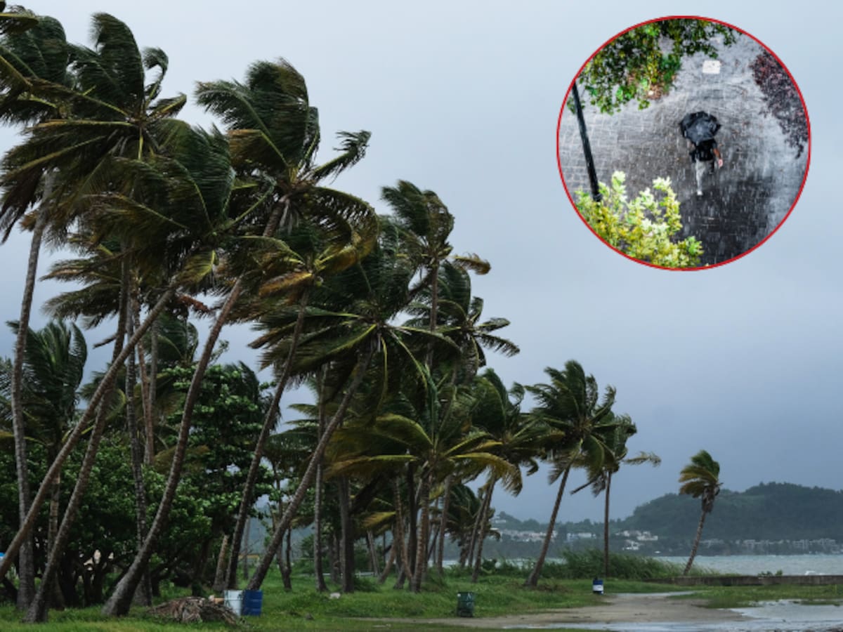 Este será el clima para esta semana en el Caribe y otras regiones del país: ¿lloverá?