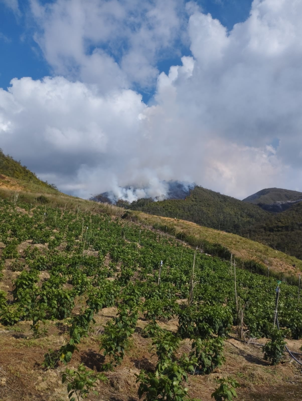 Alerta por incendios forestales en el Catatumbo. / Foto: Gestión del Riesgo Ocaña.