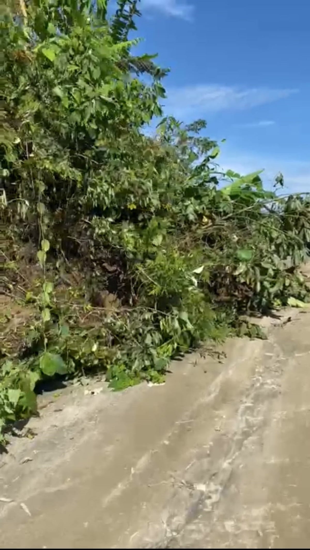 El invierno afecta varias vías de la zona rural de Ibagué.
