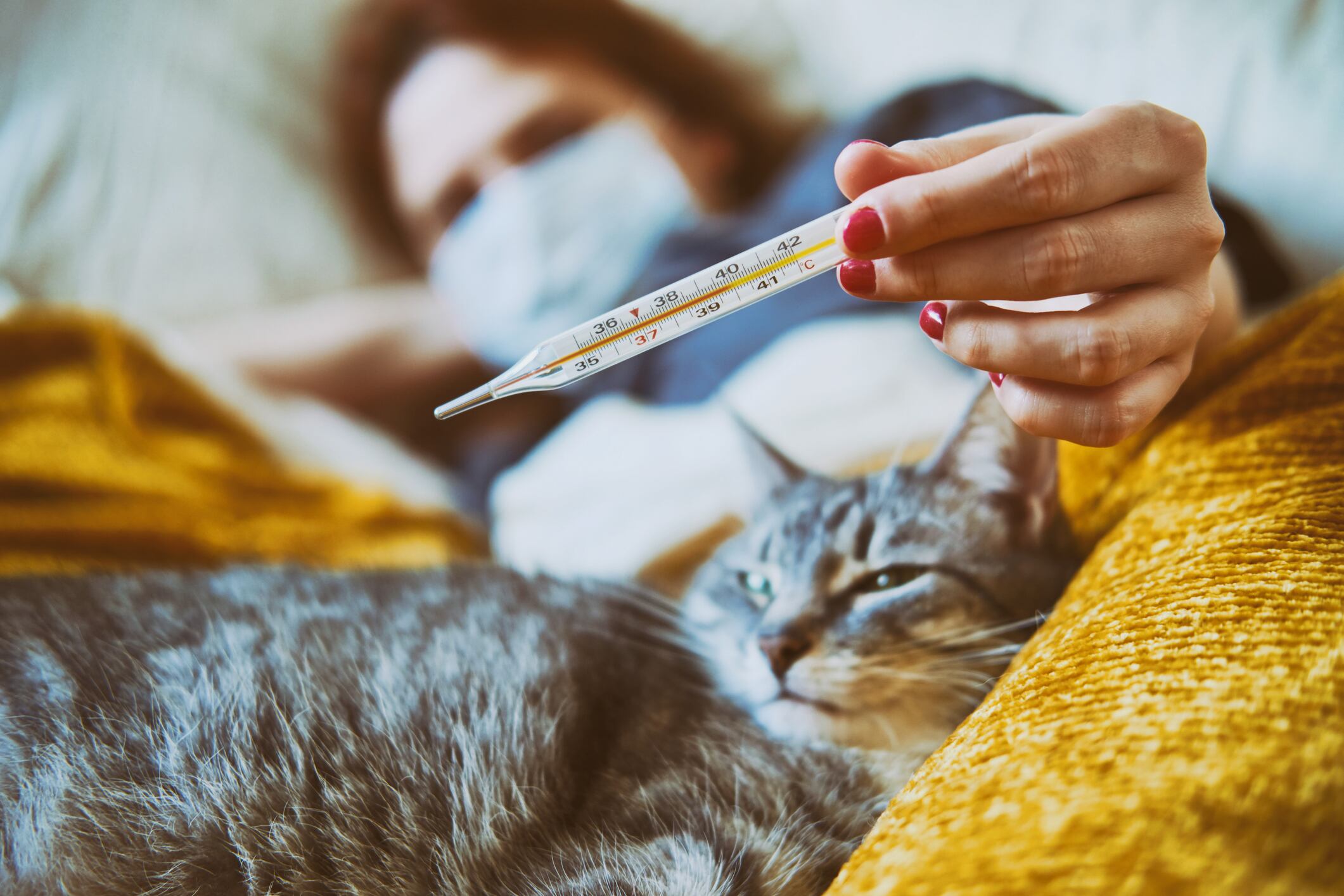 Mujer enferma en la cama junto a su gato (Getty Images)