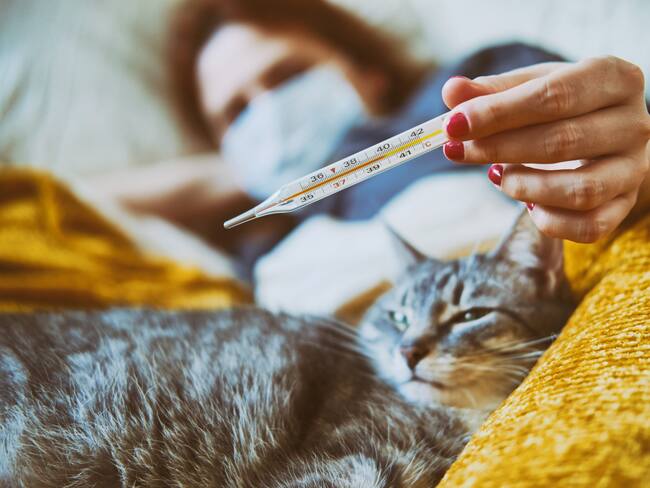 Mujer enferma en la cama junto a su gato (Getty Images)