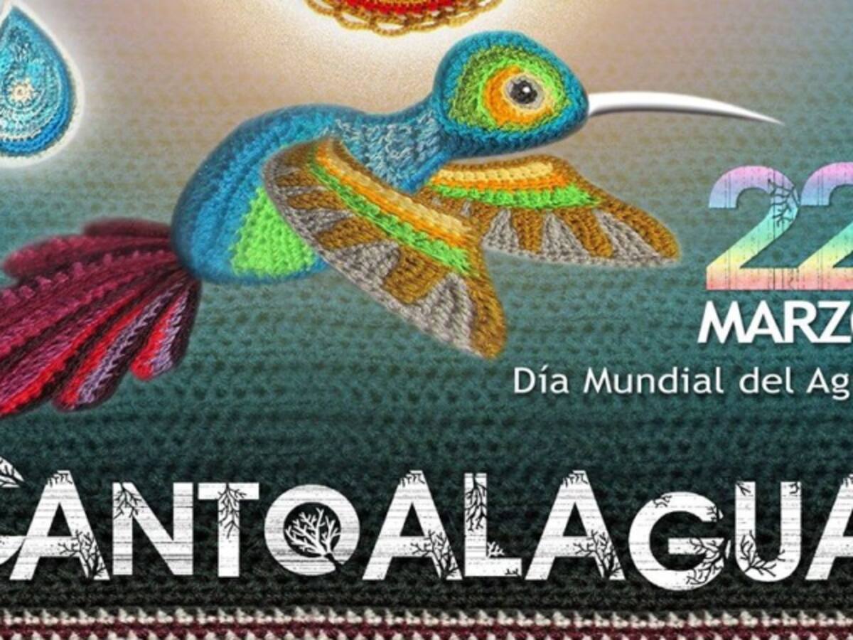 Conéctate cinco minutos con el agua