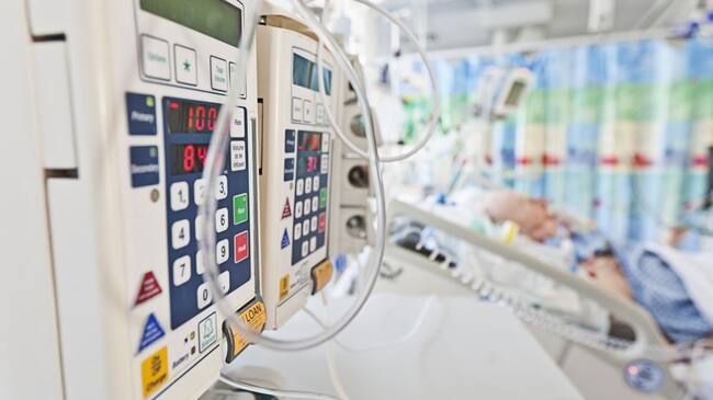 Imagen de referencia