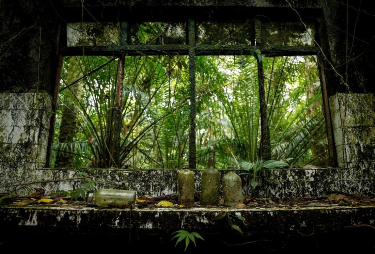 La naturaleza reclama su territorio y se instala en las ruinas de lo que alguna vez fue un temido lugar de reclusión en el Pacífico colombiano.
