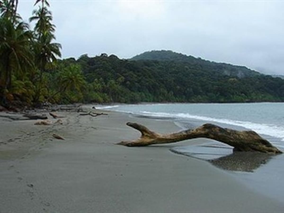 Colombia emite una alerta de tsunami en el Pacífico pero sin orden de evacuación