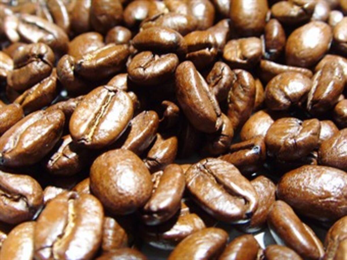 Fuerte caída de producción y exportación de café en agosto