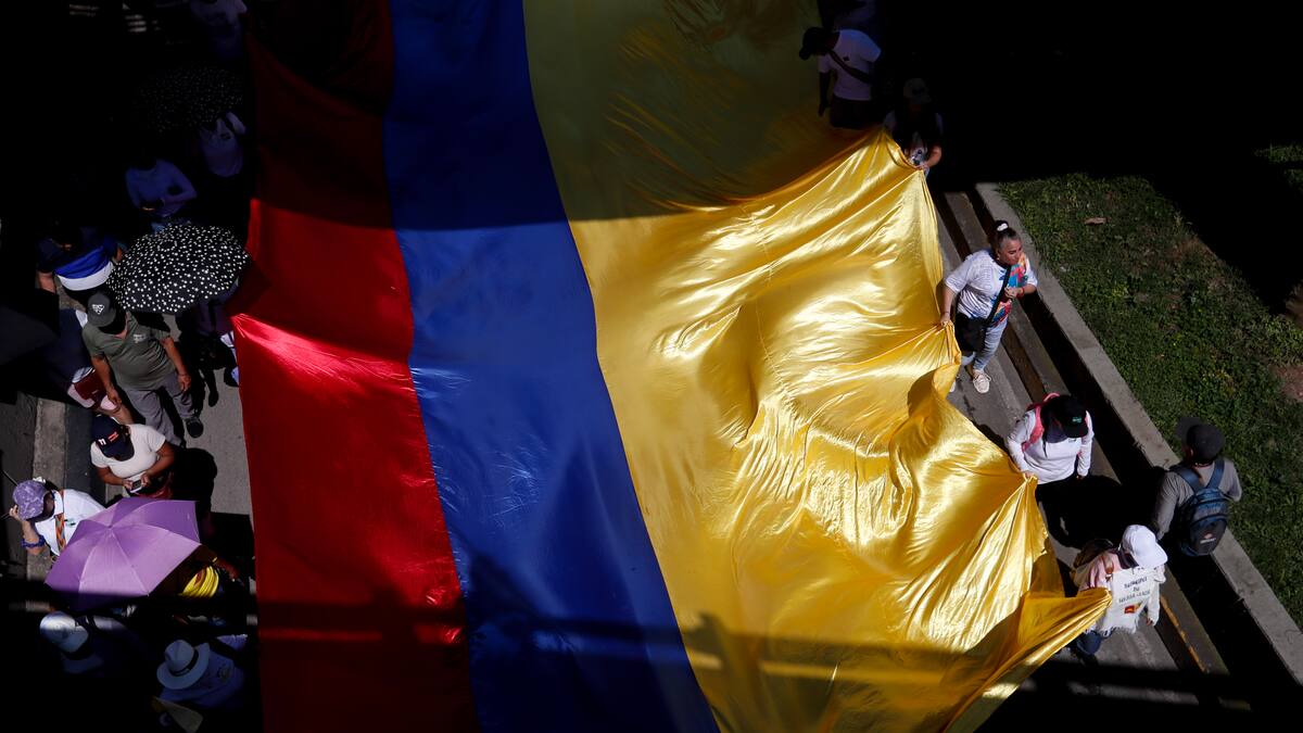 Más de 20 ONG piden al gobierno no expedir la consulta popular por decreto
