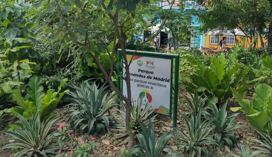 Ahora este espacio cuenta con jardineros y mejor iluminación