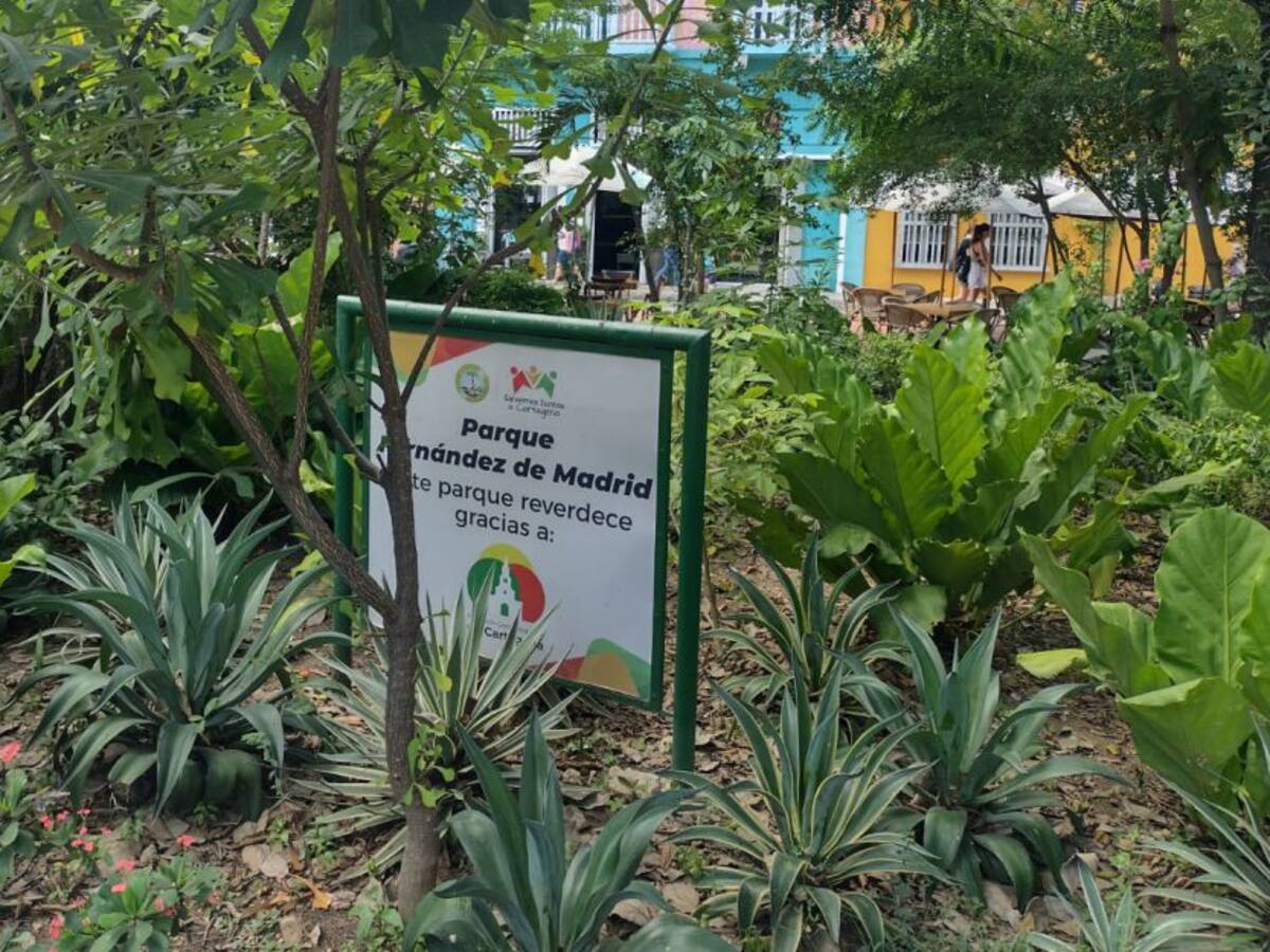 Fundación Centro Histórico intervino el Parque Fernández de Madrid