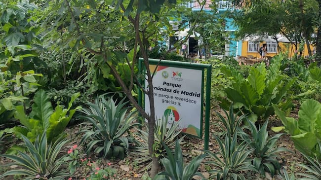 Ahora este espacio cuenta con jardineros y mejor iluminación