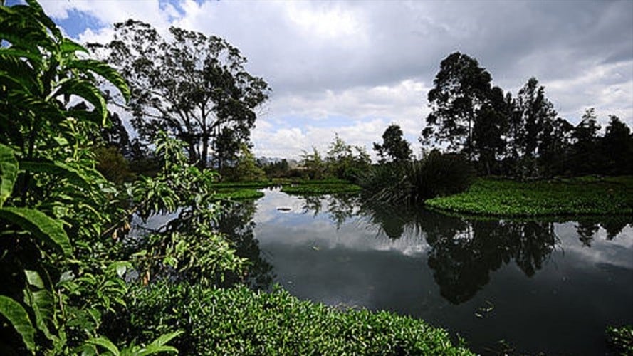 Reserva Van Der Hammen. Foto: Universidad Nacional