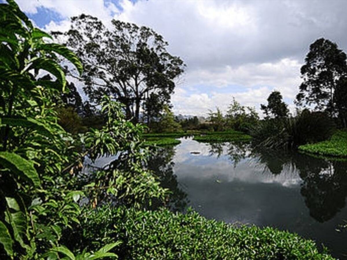 Procuraduría advirtió incumplimiento de Alcaldía de Bogotá para proteger Van der Hammen