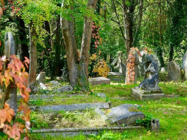 Cremaciones y entierros amigables con el ambiente son tendencia en Colombia
