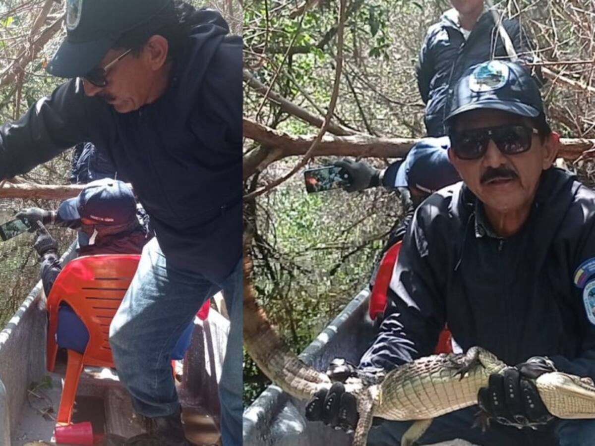 El valor del Santuario de Flora y Fauna Ciénaga Grande de Santa Marta