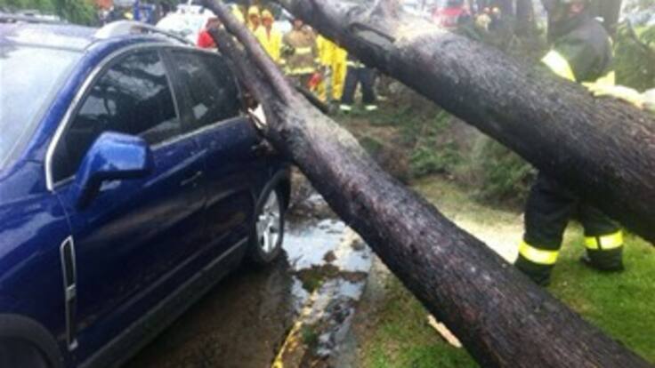 Fuertes lluvias causan trancones y caída de árboles en Bogotá