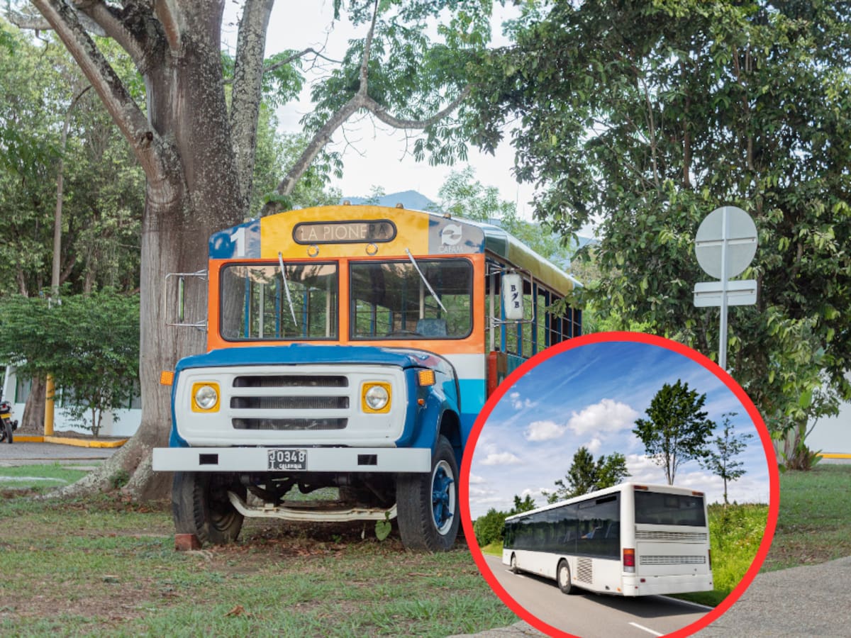 Esto vale un transporte de Bogotá a Melgar: pasaje de bus 2024 vs. carrera de taxi