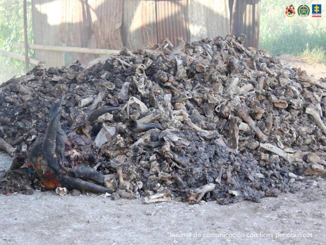 La fabrica producia contaminación ambiental en los principales rios de palermo en el Huila