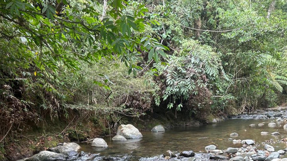 Bajo caudal del río Meléndez pone en alerta a EMCALI, pero descartan riesgo de desabastecimiento