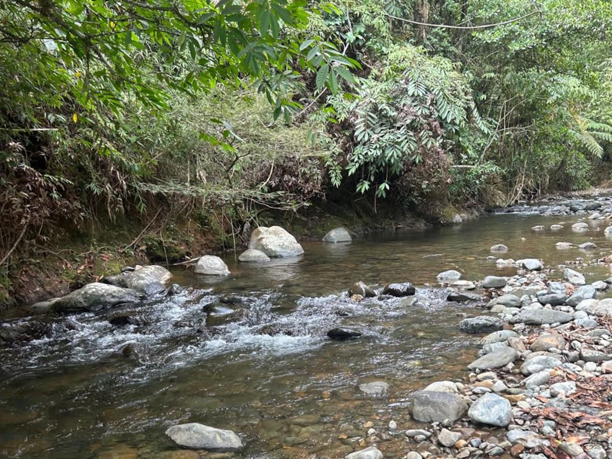 Bajo caudal del río Meléndez pone en alerta a EMCALI, pero descartan riesgo de desabastecimiento