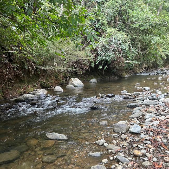 EMCALI hizo un llamado a la ciudadanía a hacer un uso responsable del agua. Foto: EMCALI.