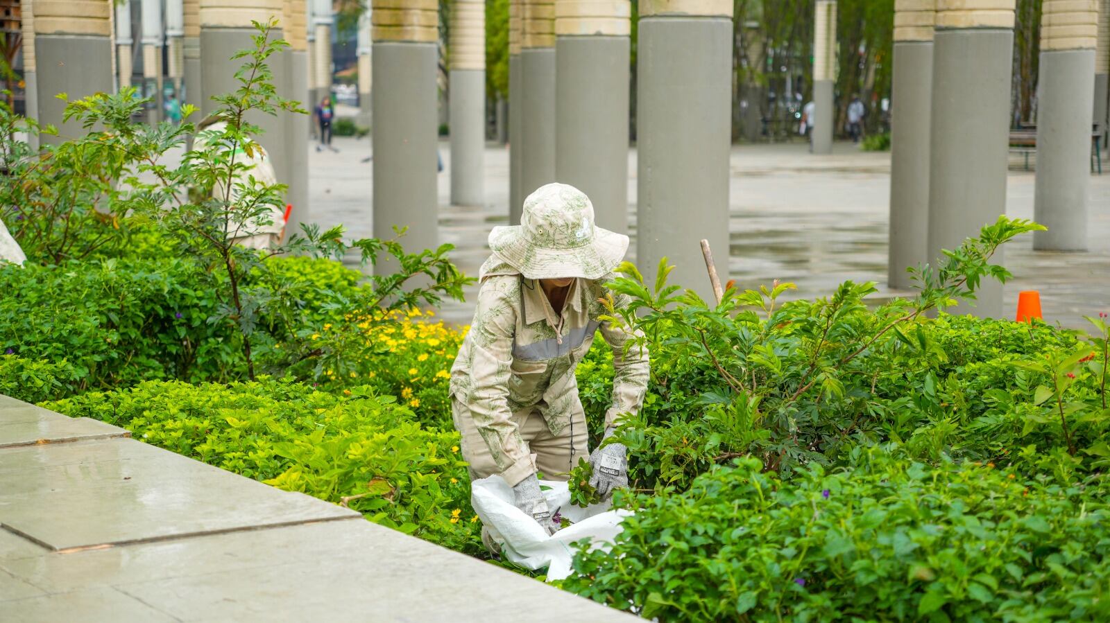 Cortesía: Alcaldía de Medellín