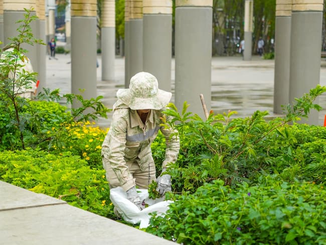 Cortesía: Alcaldía de Medellín