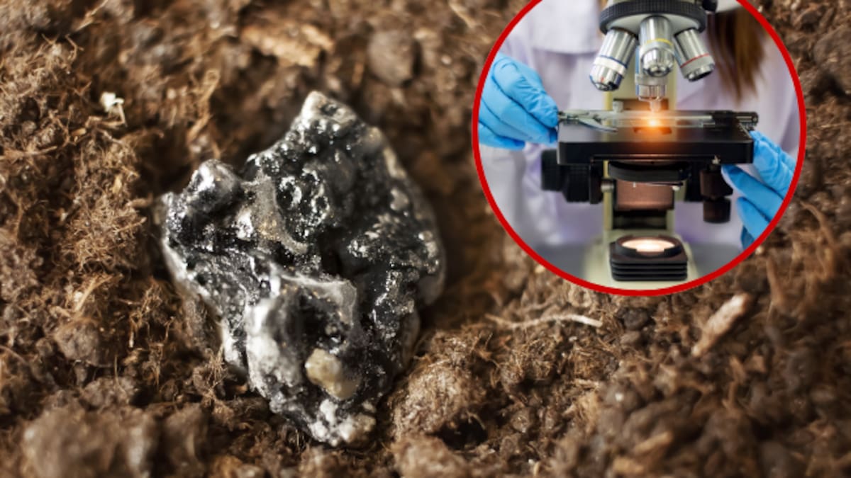 ¿Qué son las tierras raras? Un estudio geológico explica su origen y formación