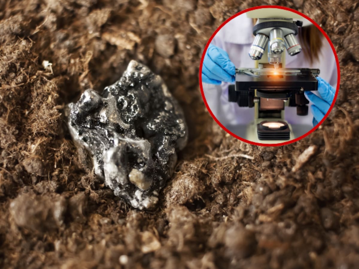 ¿Qué son las tierras raras? Un estudio geológico explica su origen y formación