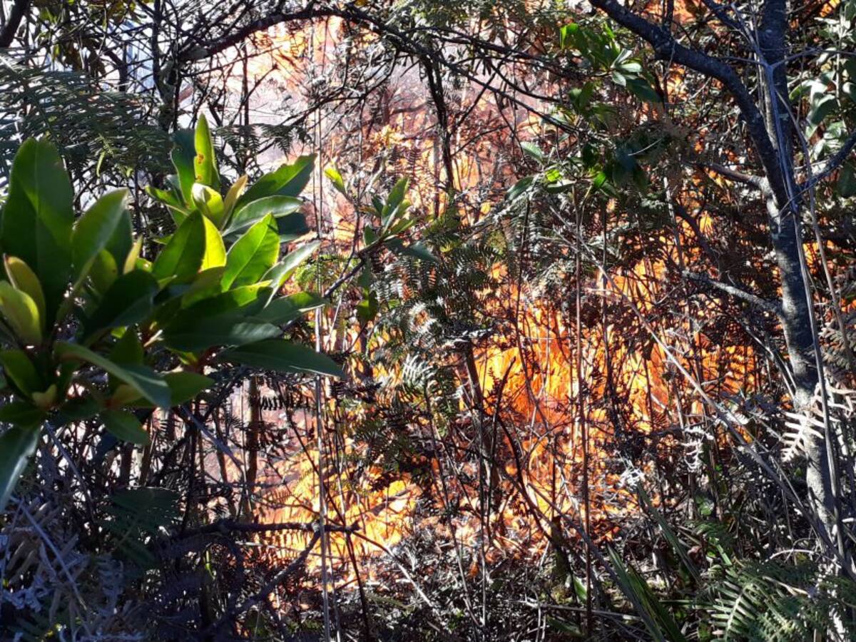 Posibilidad de incendios y fuertes vientos en alerta en el Caribe