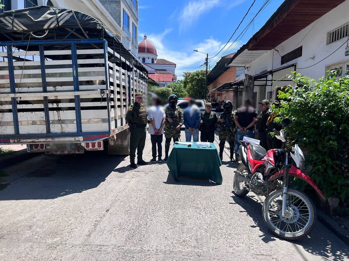 La Policía en el Tolima recuperó ganado avaluado en $100 millones