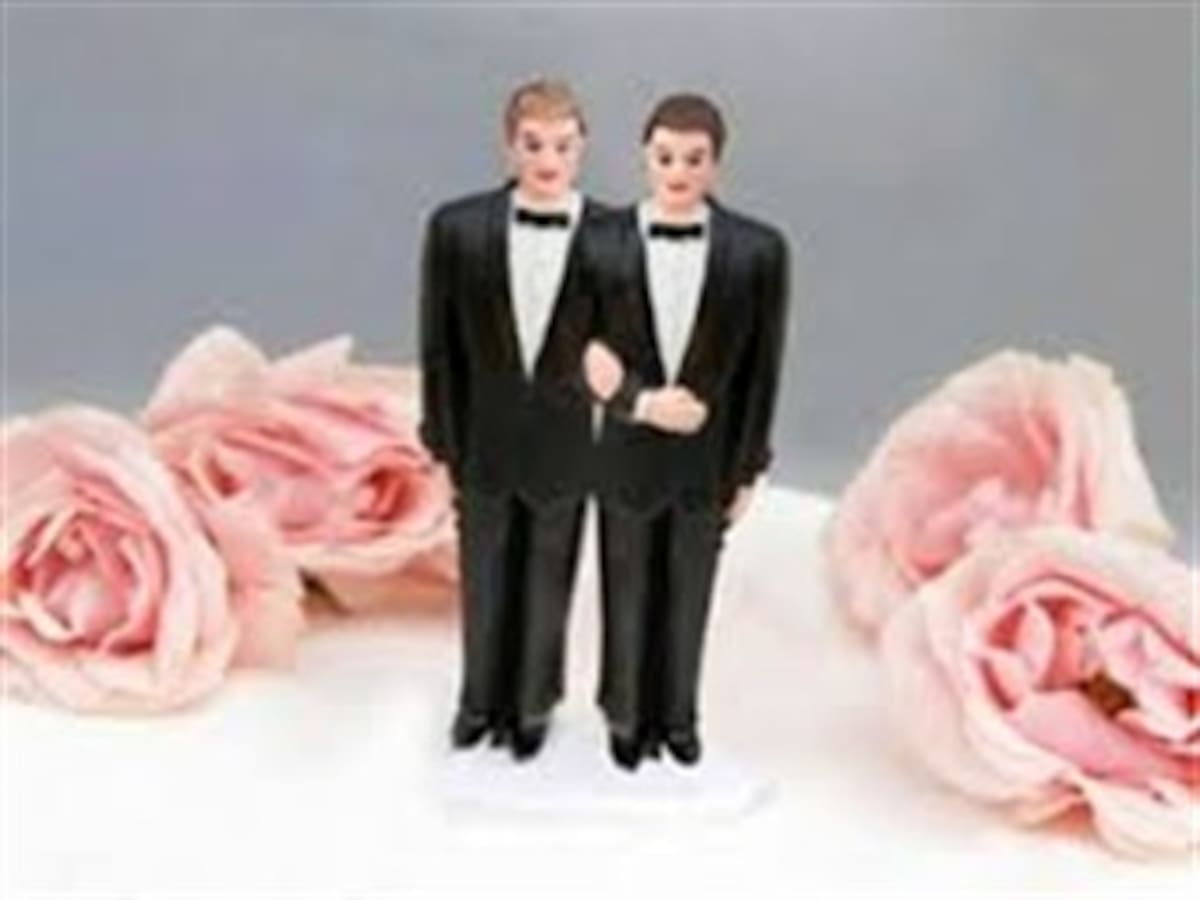 Trámite del matrimonio gay en el Congreso amenaza con caerse