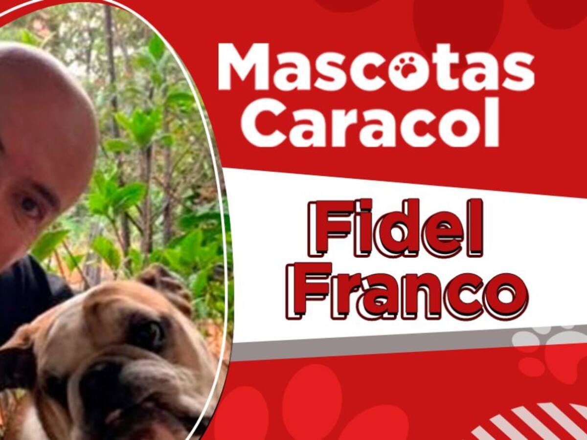 Escuche el programa Mascotas Caracol 23 de abril