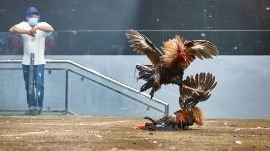 imagen de referencia. Foto: Getty Images