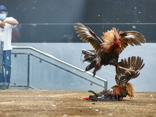 imagen de referencia. Foto: Getty Images