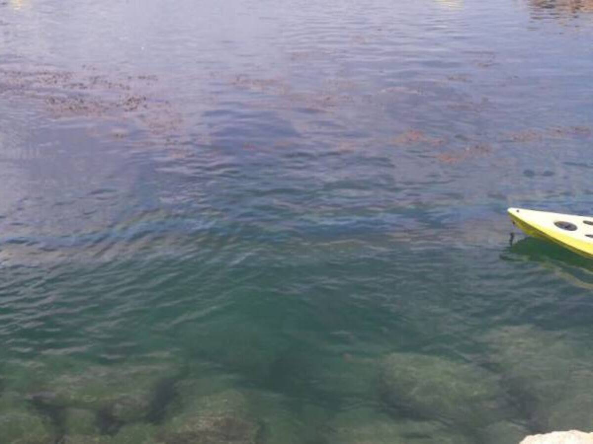 Alarma en Coveñas por mancha oscura en el mar