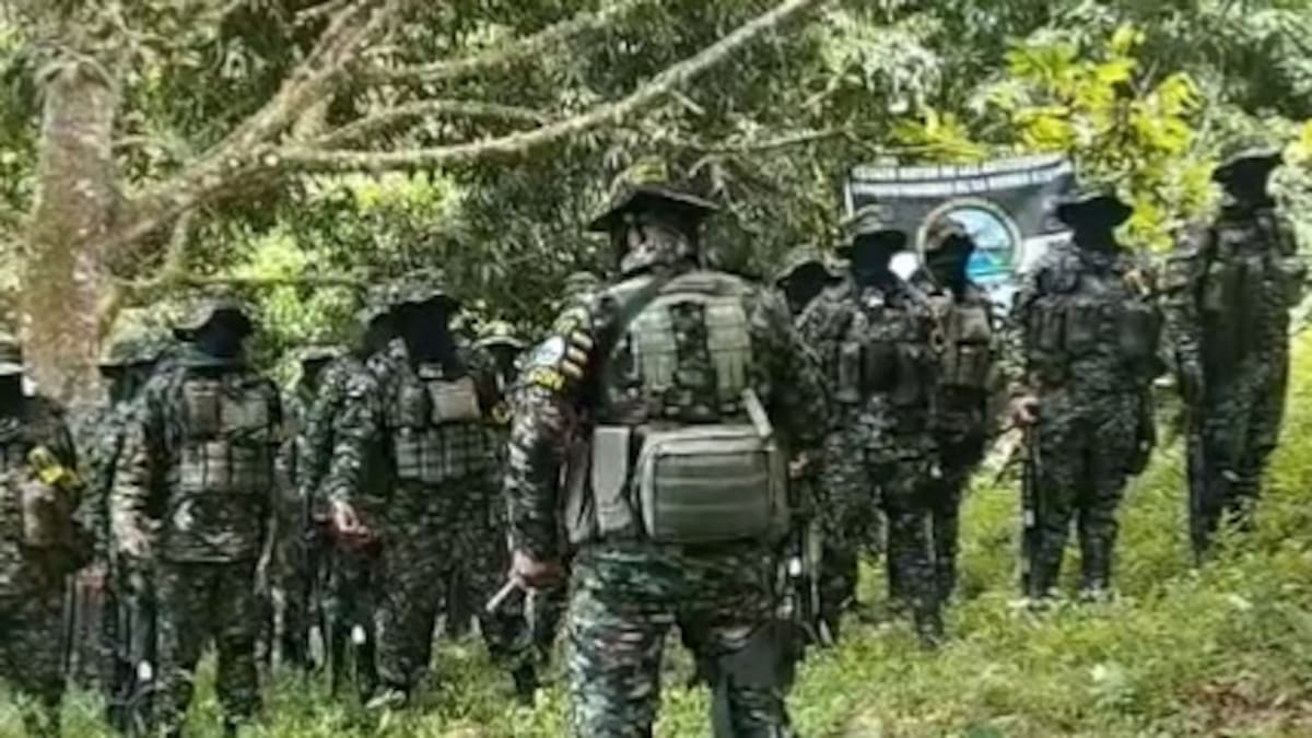 Autodefensas Conquistadoras de la Sierra Nevada piden prorrogar el cese al fuego