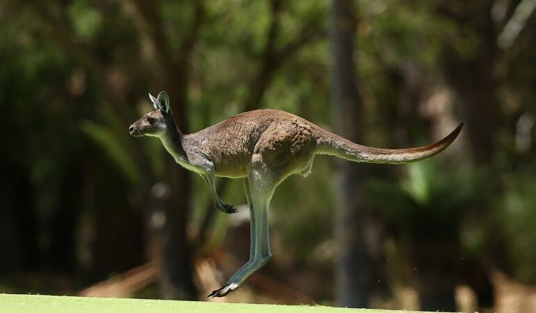 Imagen de referencia 