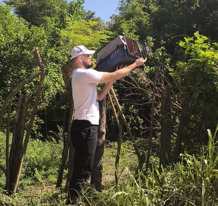 En Conmemoración del Día Nacional de la Biodiversidad liberan 23 animales silvestres . Corpamag
