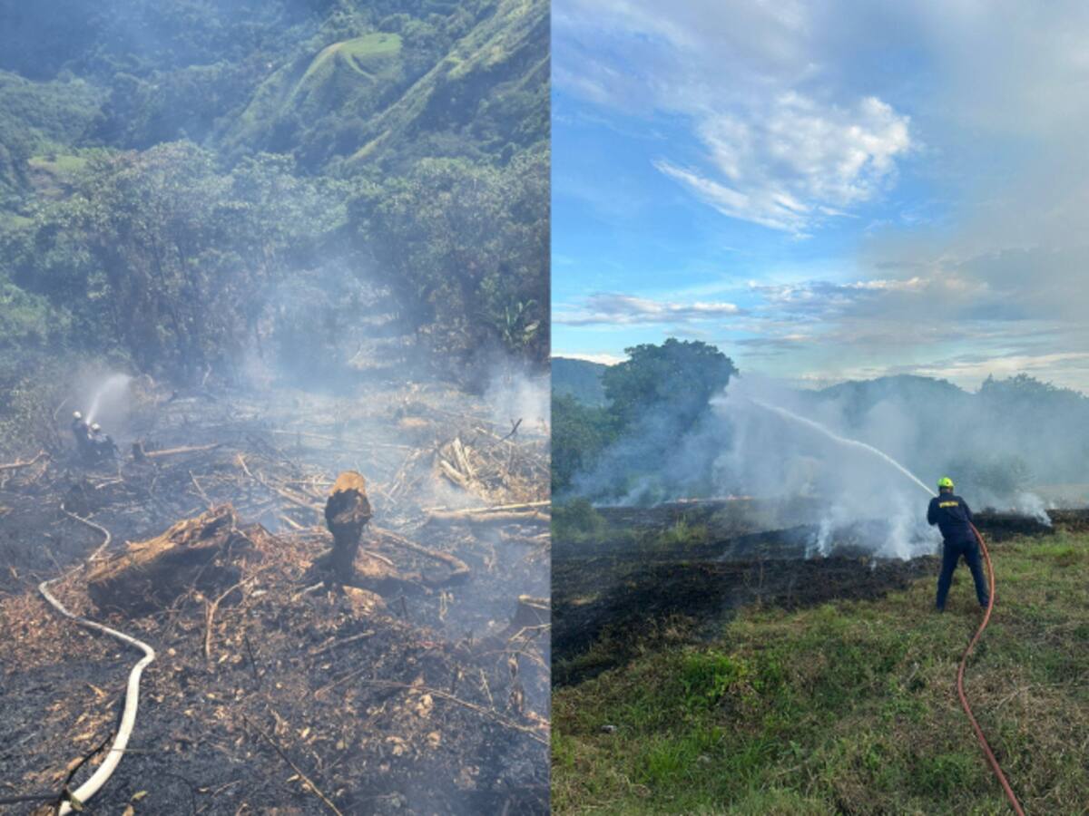 Bomberos de dos municipios en Caldas atienden varios incendios forestales que han sido provocados