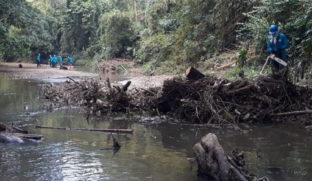 Limpieza de la cuenca del río León