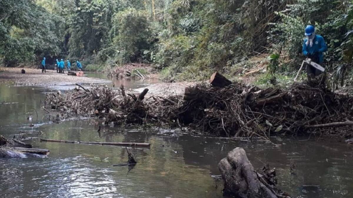 Con proyecto Relimpia, bananeros trabajan para recuperar el río León
