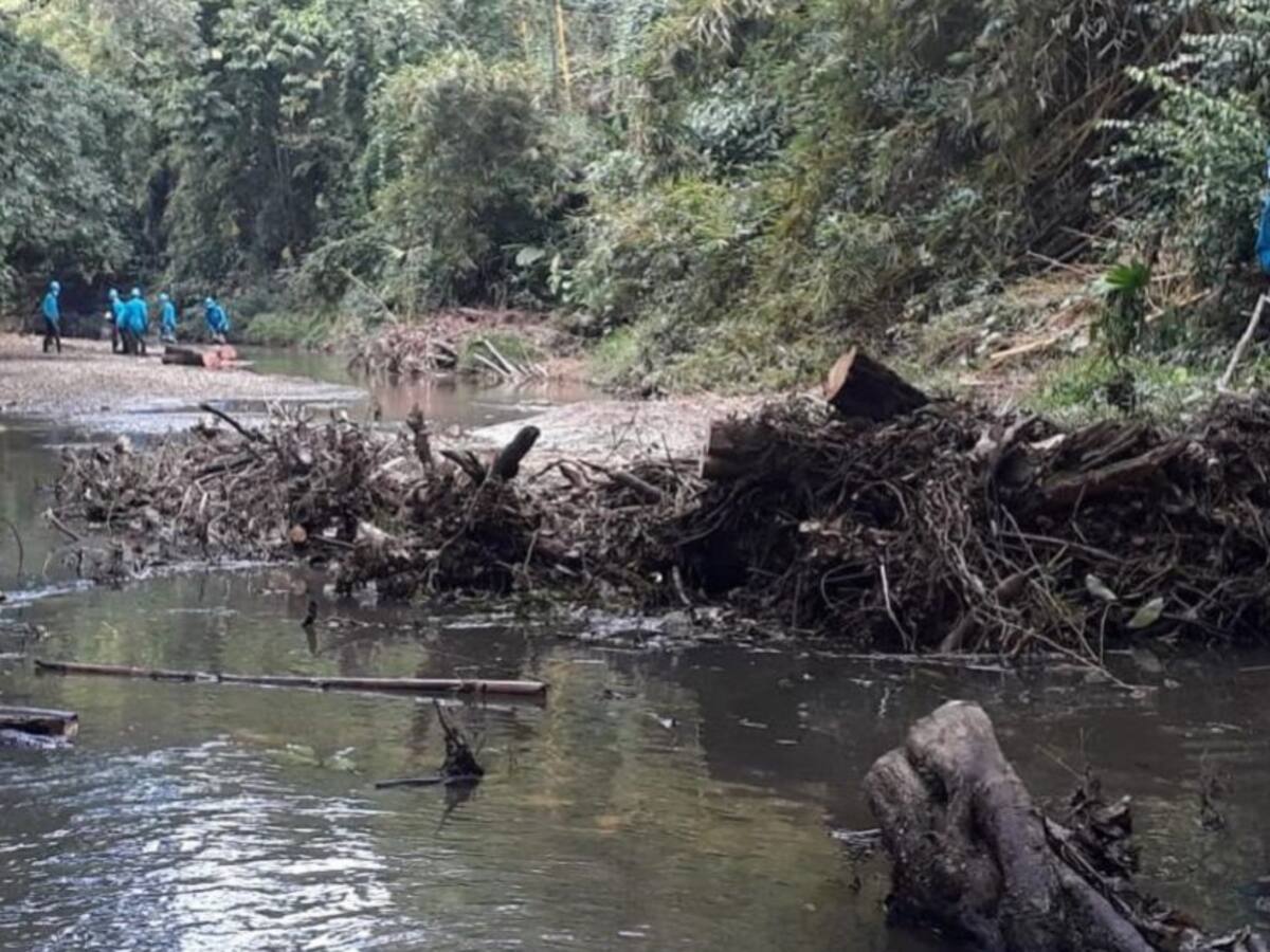 Con proyecto Relimpia, bananeros trabajan para recuperar el río León