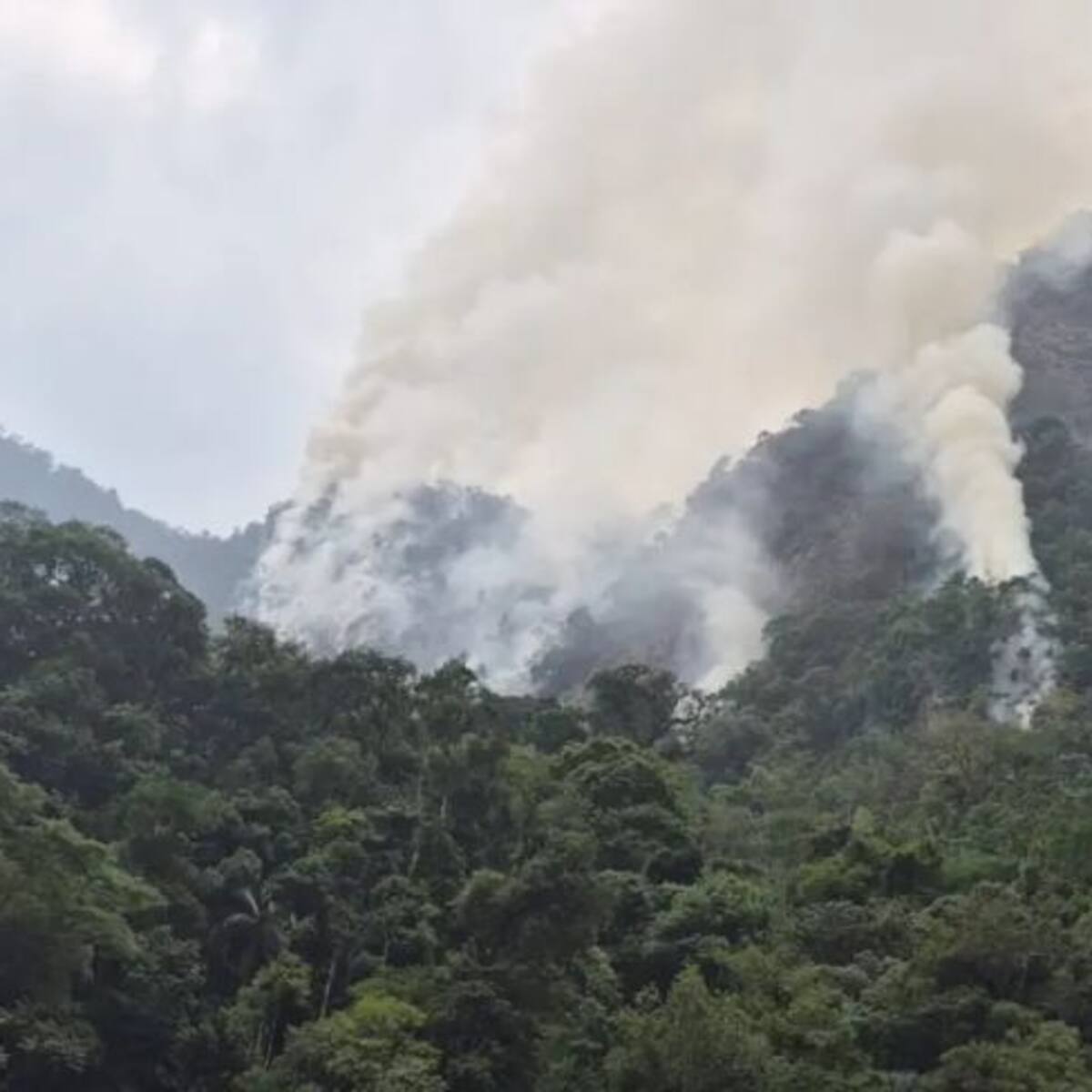 Incendio en El Peñón, Santander, no se detiene: amenaza santuario de fauna y flora