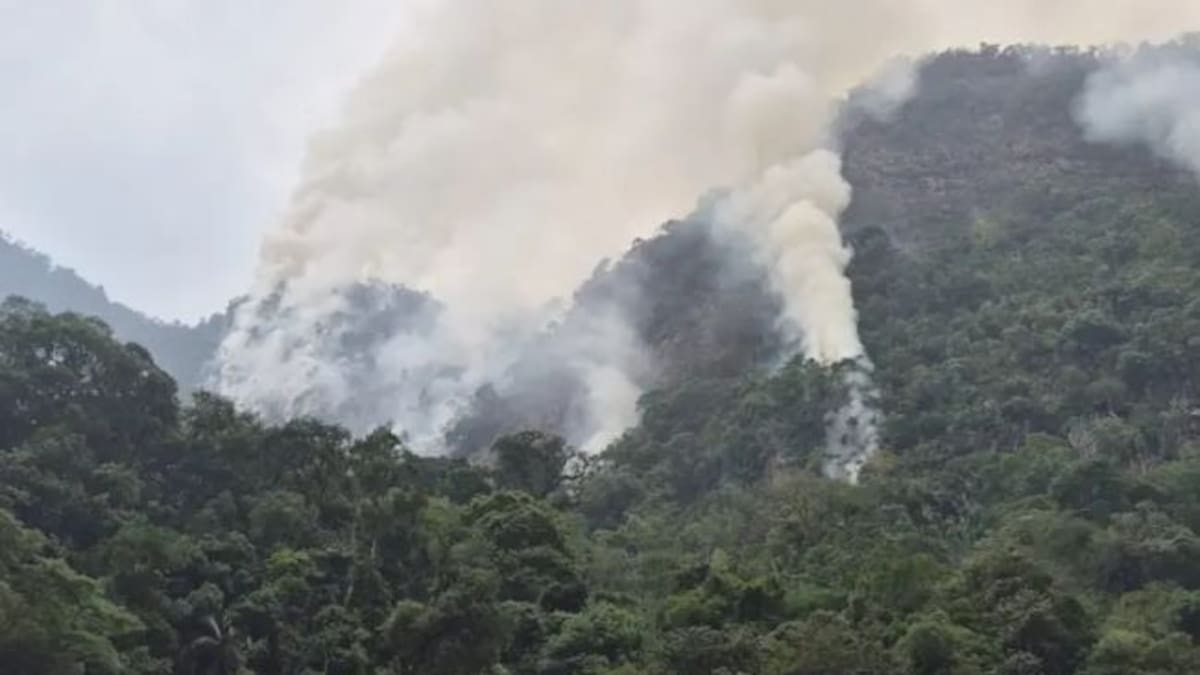 Incendio en El Peñón, Santander, no se detiene: amenaza santuario de fauna y flora