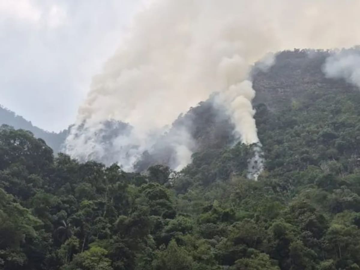 Incendio en El Peñón, Santander, no se detiene: amenaza santuario de fauna y flora