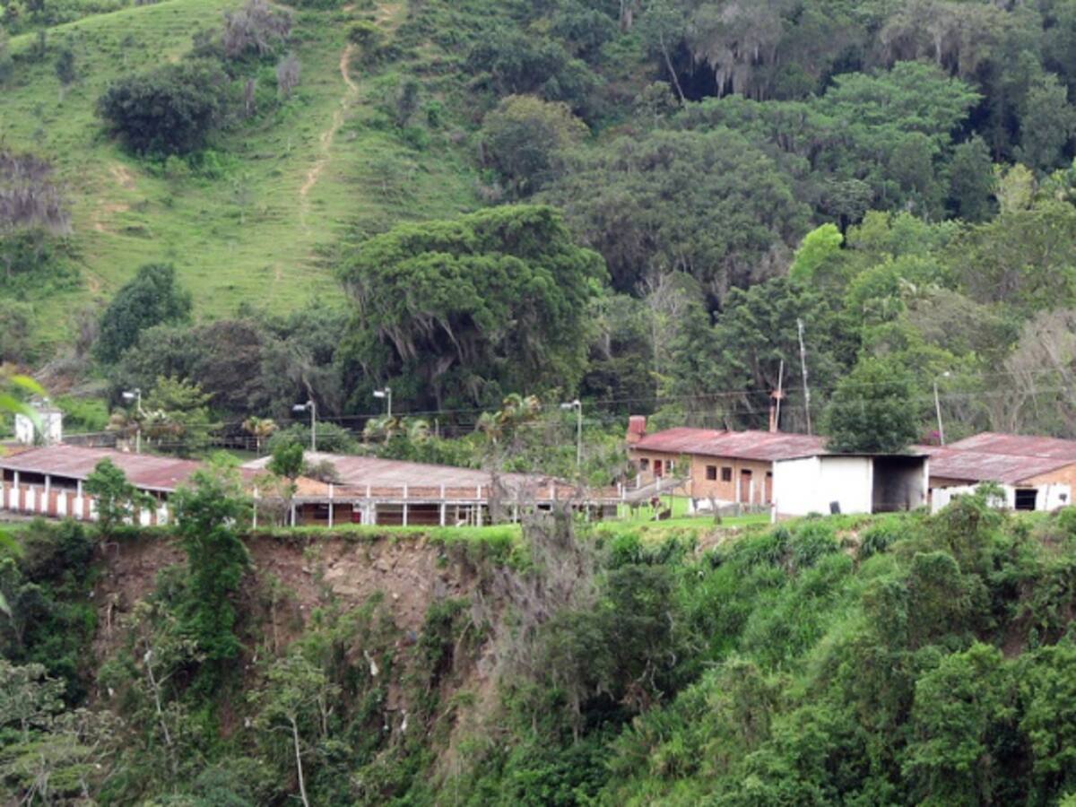 Colombia subasta predios por 18,8 millones de dólares de "El Mexicano"