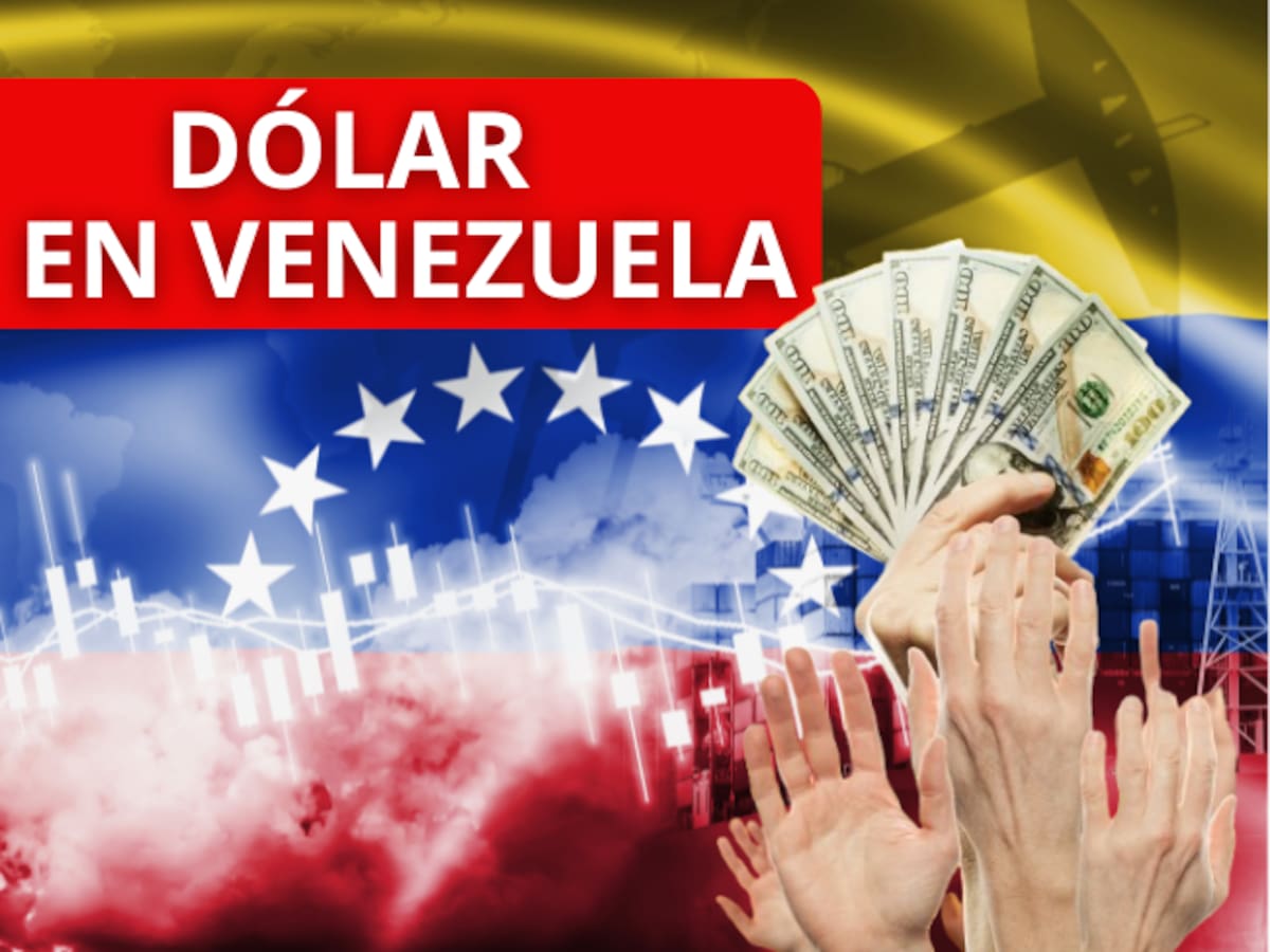 Así se cotiza el dólar en Venezuela para este jueves 29 de enero: Leve aumento en los precios