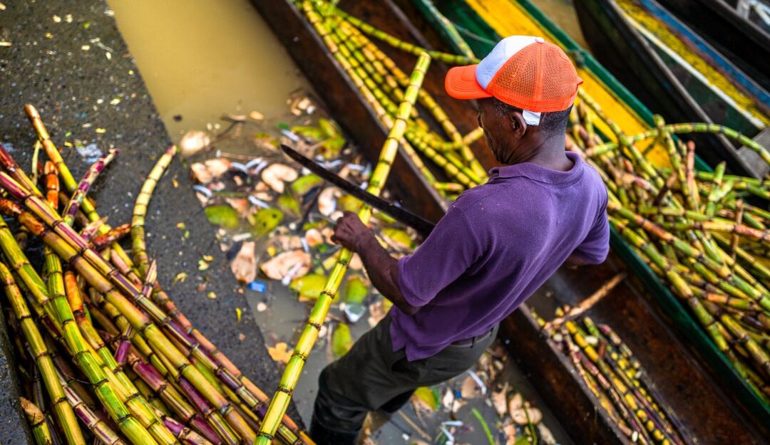 Pacífico Colombiano 